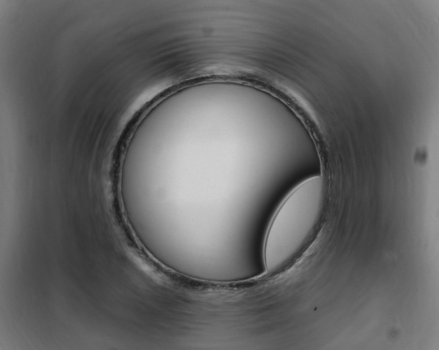X0000102251026200807250856