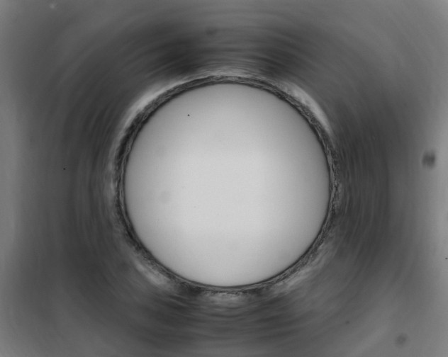 X0000102251027200807250856