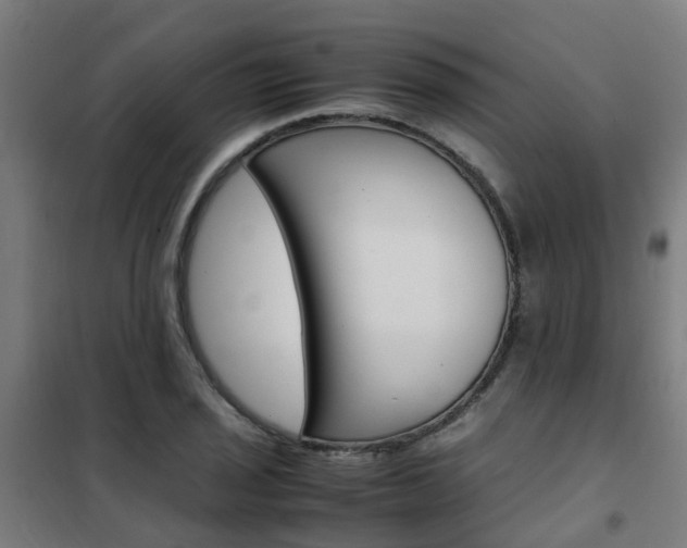 X0000102251029200807250856