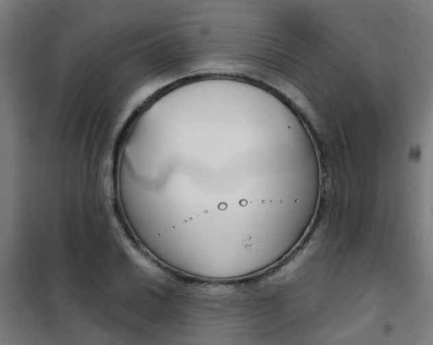 X0000102251030200807250856