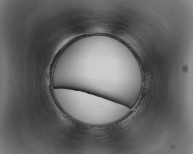 X0000102251031200807250856