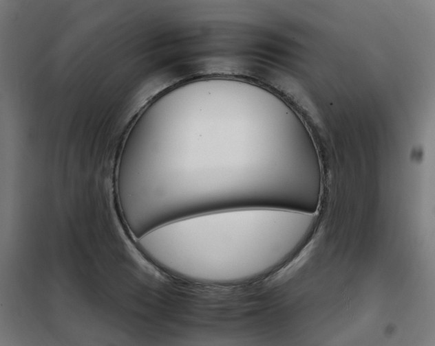 X0000102251033200807250856