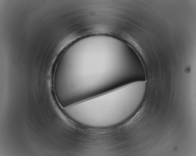 X0000102251034200807250856