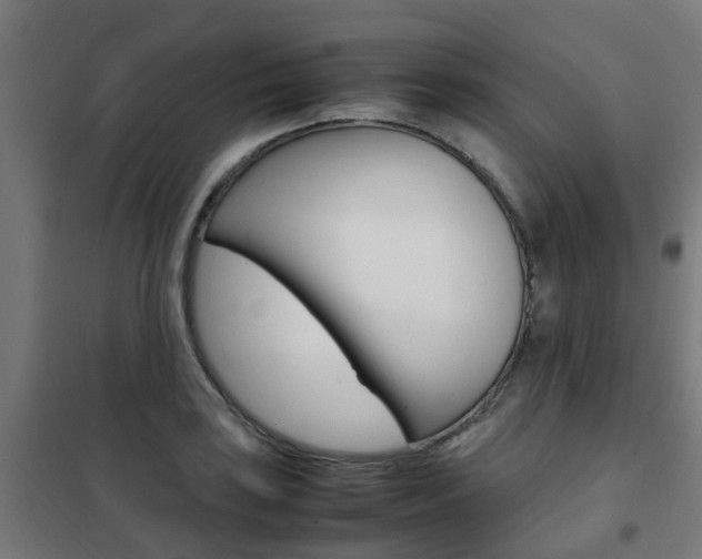 X0000102251035200807250856