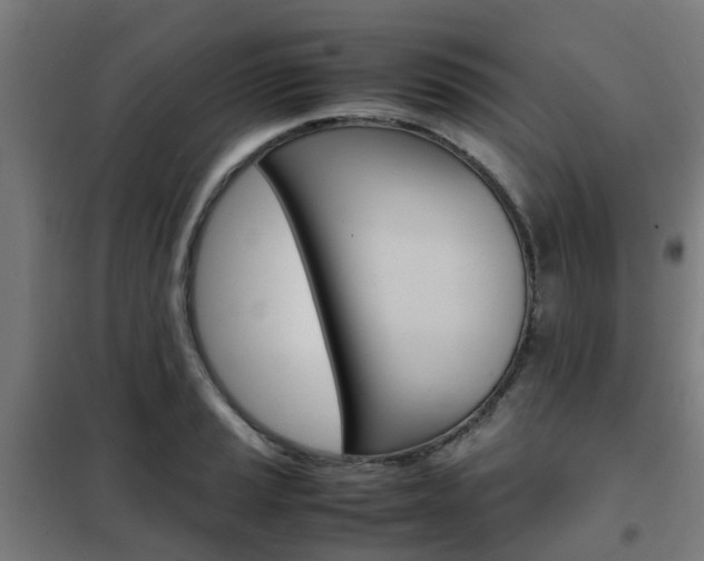 X0000102251037200807250856