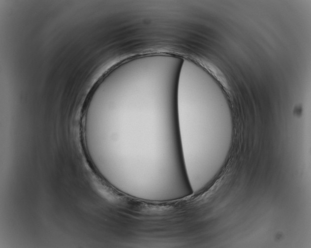 X0000102251039200807250856