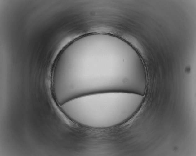X0000102251040200807250856