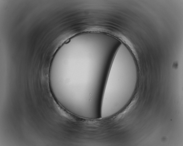 X0000102251041200807250856