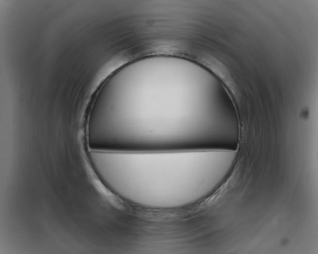 X0000102251042200807250856