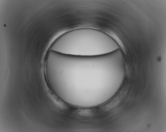 X0000102251043200807250856