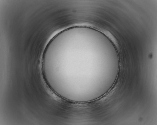 X0000102251044200807250856