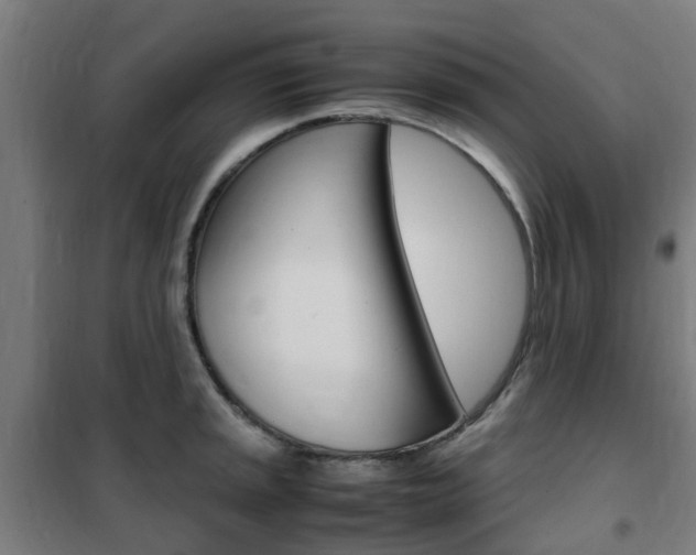 X0000102251045200807250856