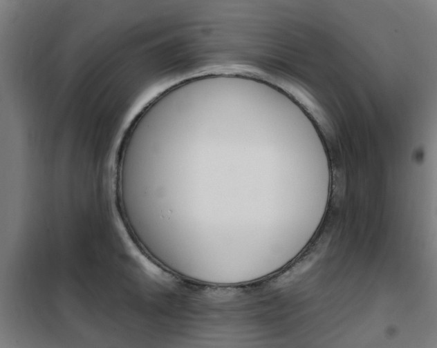 X0000102251046200807250856