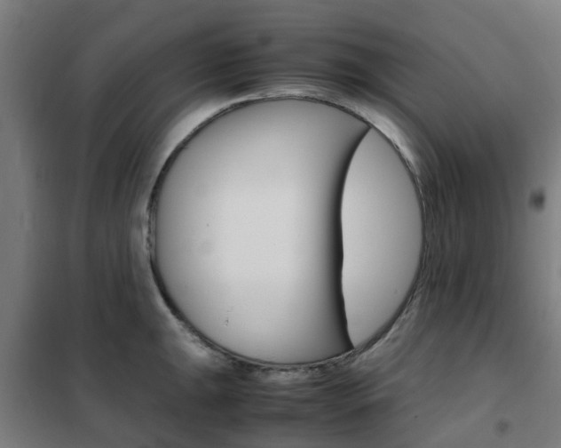 X0000102251047200807250856
