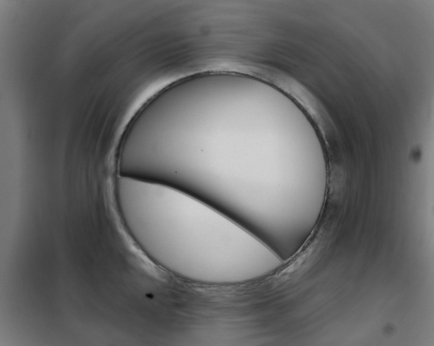 X0000102251048200807250856