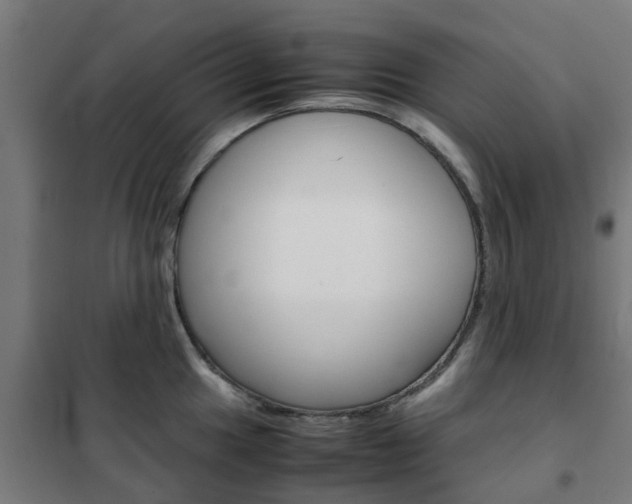 X0000102251049200807250856
