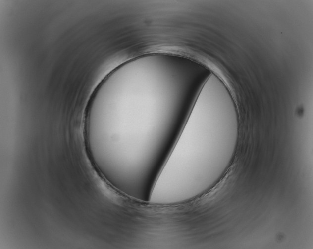 X0000102251050200807250856