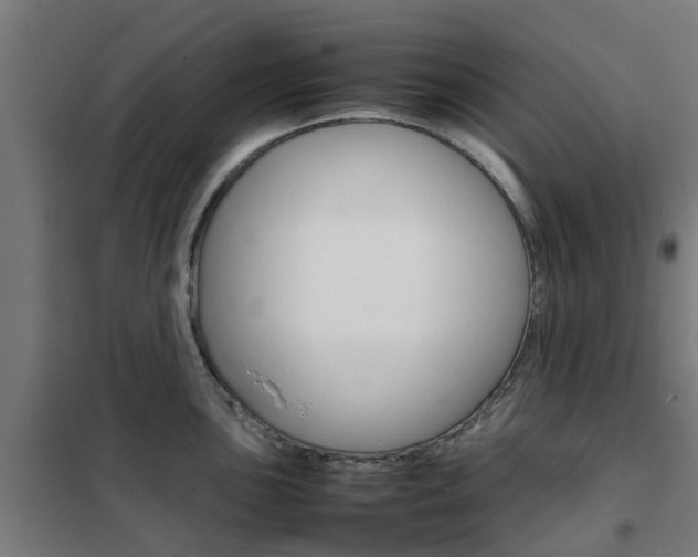 X0000102251051200807250856