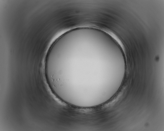 X0000102251053200807250857