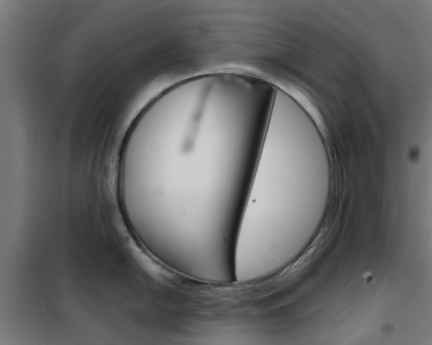 X0000102251054200807250857