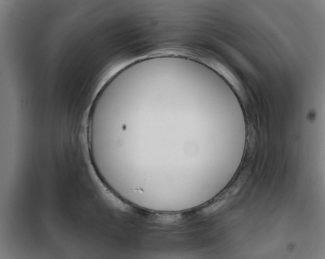 X0000102251055200807250857