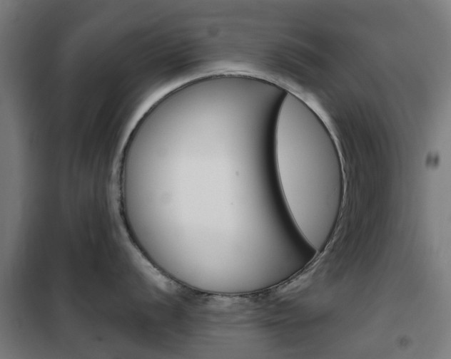 X0000102251056200807250857