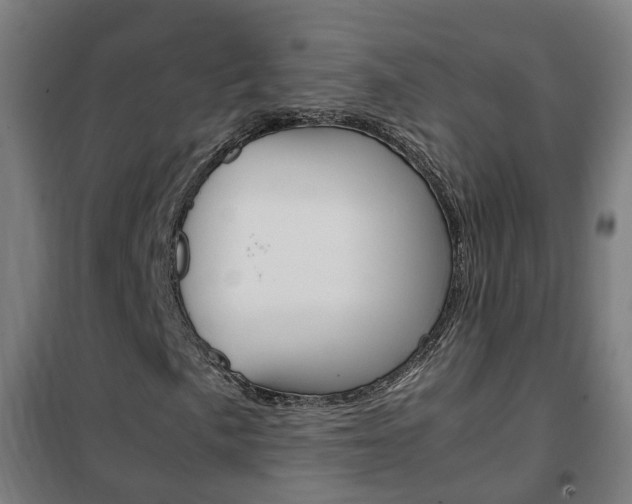 X0000102251057200807250856