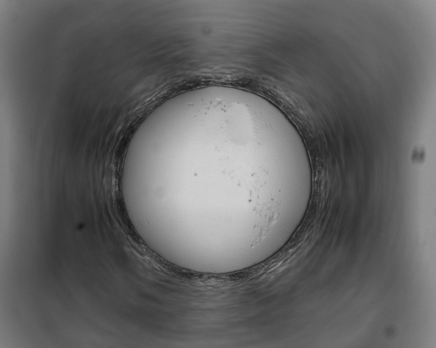 X0000102251058200807250856