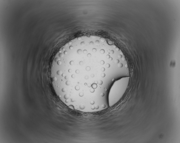 X0000102251059200807250856