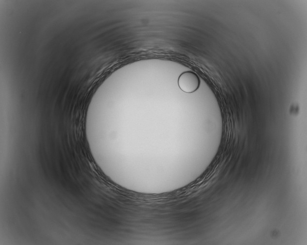 X0000102251060200807250856