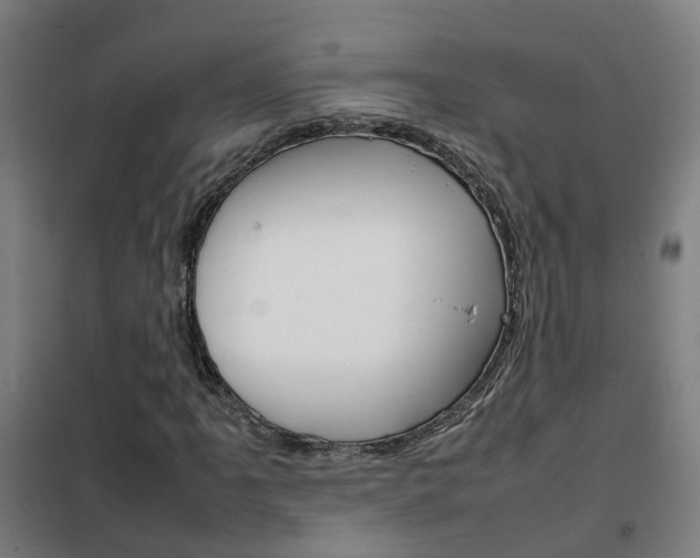 X0000102251061200807250856