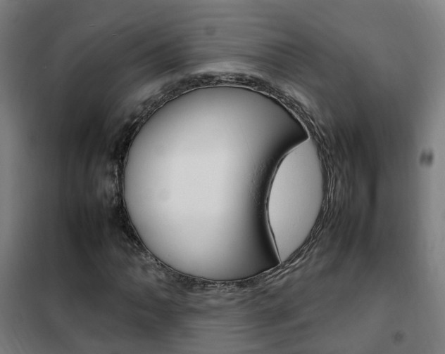X0000102251062200807250856
