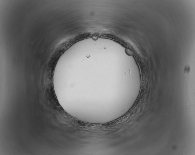 X0000102251063200807250856