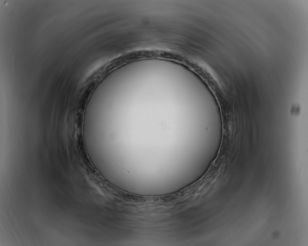 X0000102251064200807250856