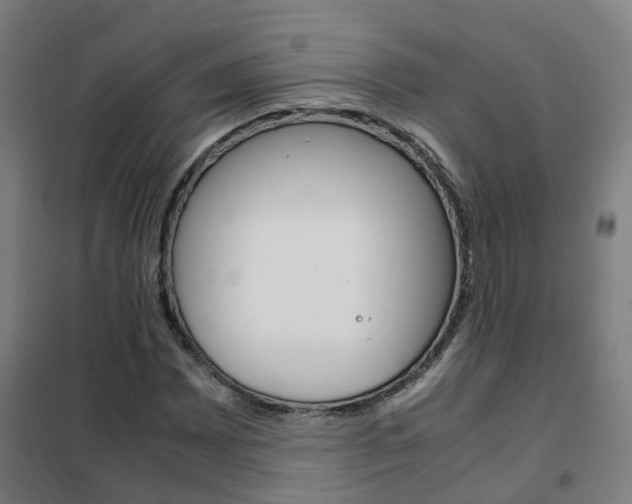 X0000102251065200807250856
