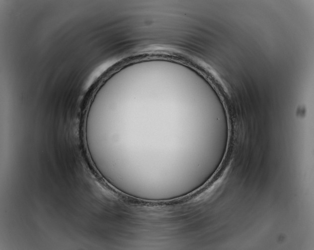 X0000102251066200807250856
