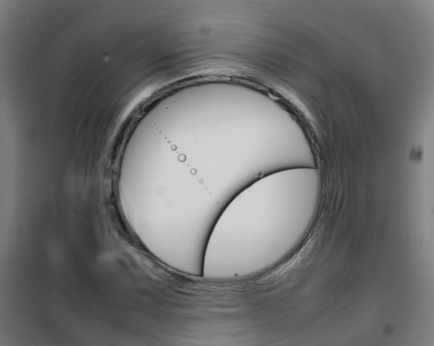 X0000102251067200807250856