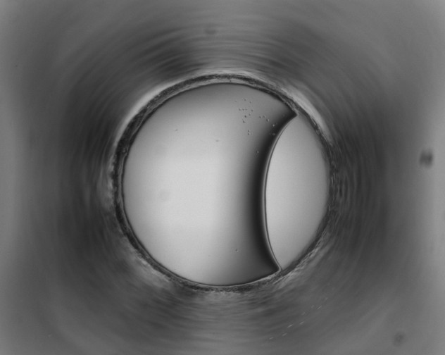 X0000102251068200807250856