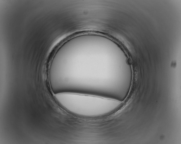 X0000102251069200807250856
