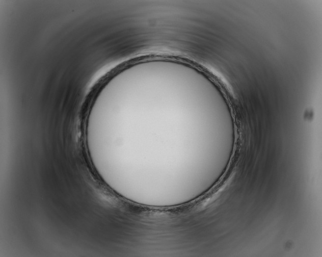 X0000102251070200807250856