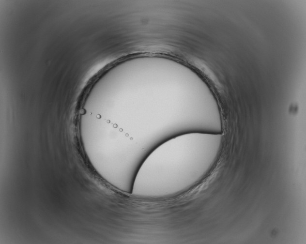 X0000102251071200807250856