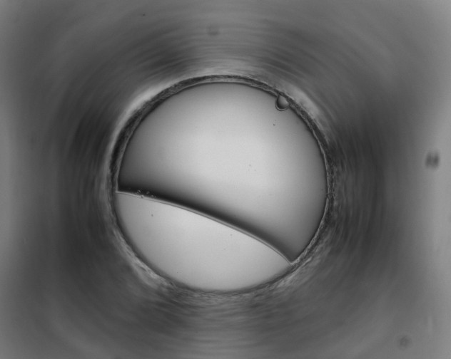 X0000102251072200807250856