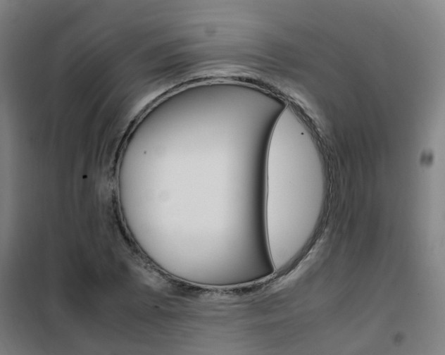 X0000102251073200807250856