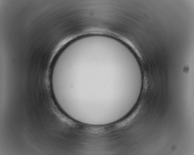 X0000102251074200807250856