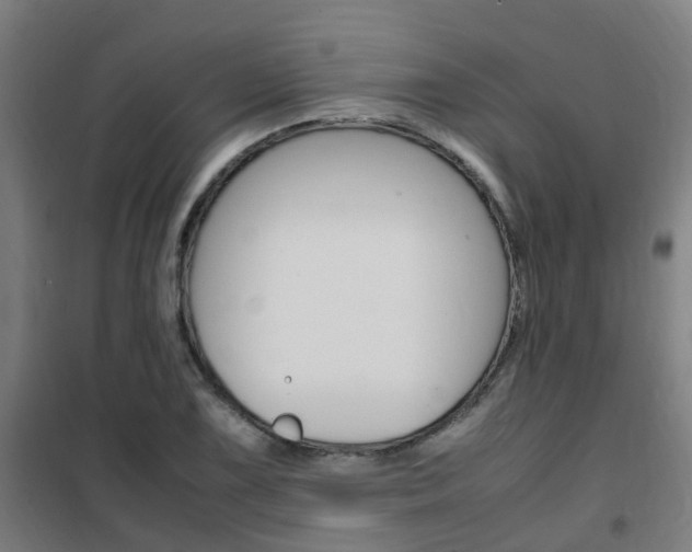 X0000102251075200807250856