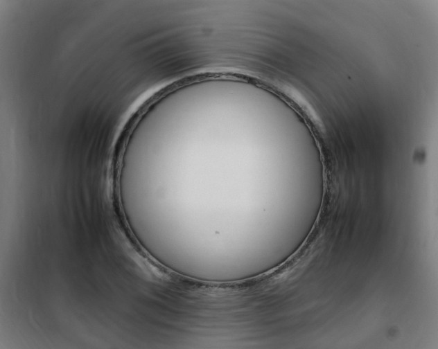 X0000102251076200807250856
