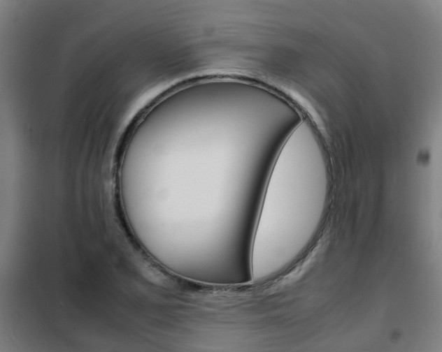 X0000102251077200807250856