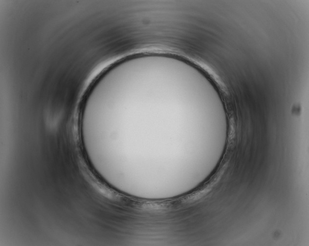 X0000102251078200807250856