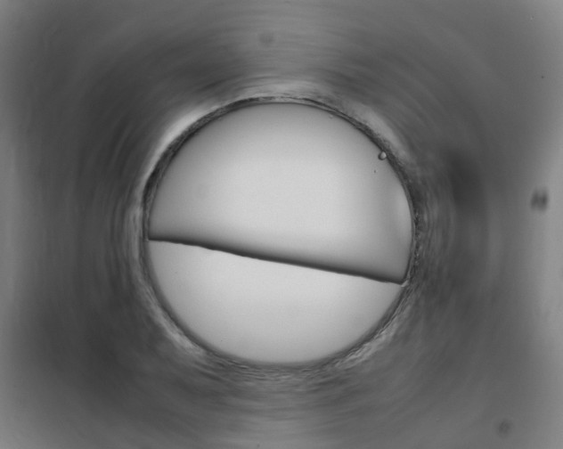 X0000102251079200807250856