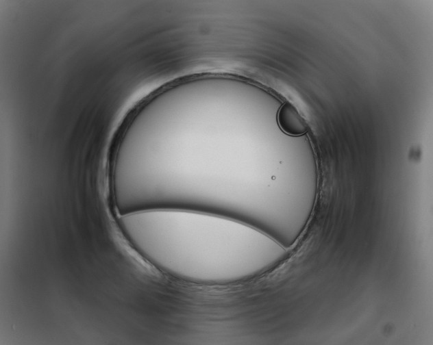 X0000102251080200807250856